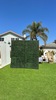 8'x8' Green Hedgreen Grass wall Rental