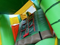 IMG 4682 1767991343 [13'x35'] Tropical Palmtrees Bounce House with Double Slides
